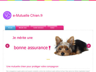 Détails : Une mutuelle pour assurer votre chien